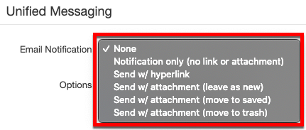Email Notification Options-voip